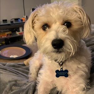 Meet your Posher, Brian